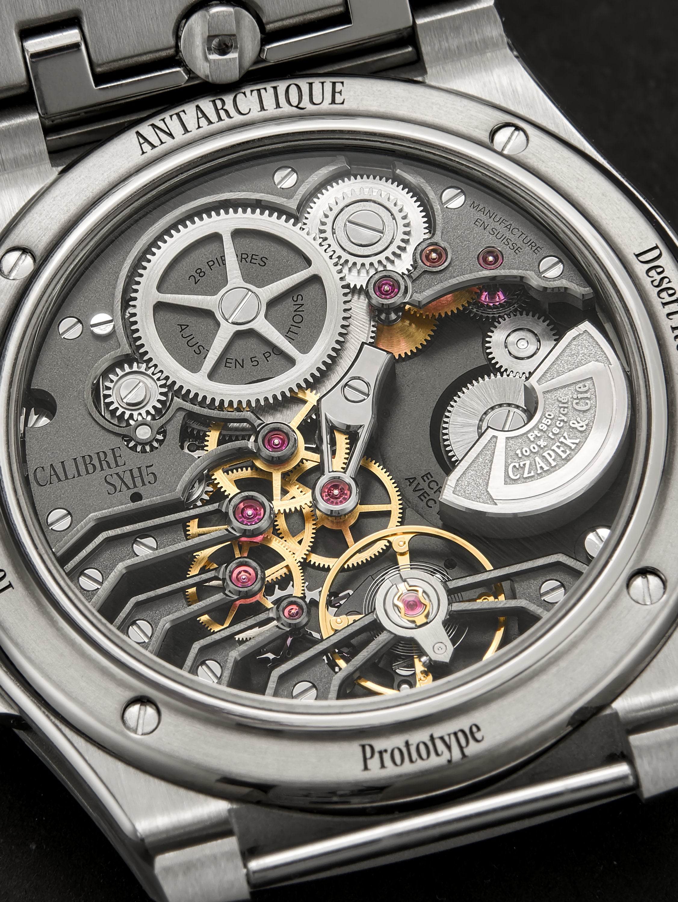 Antarctique Desert Rose - Eastern Arabic Numerals